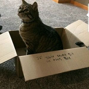 Meet your Posher, Robert